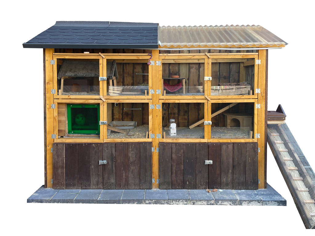 Exterior view of the guinea pig hutch